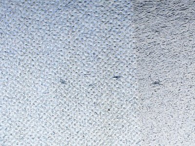 SN33518
