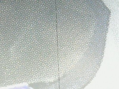 SN33550