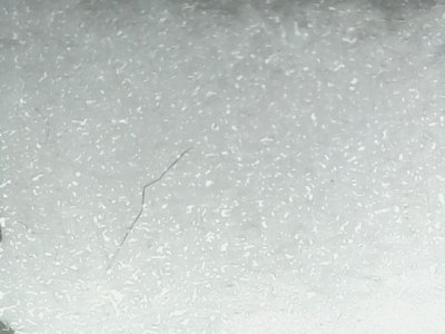 SN33550