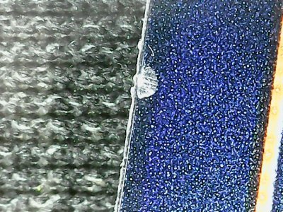 SN33551