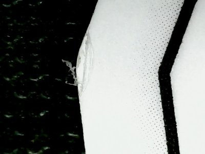 SN33551