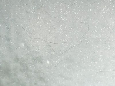 SN33551