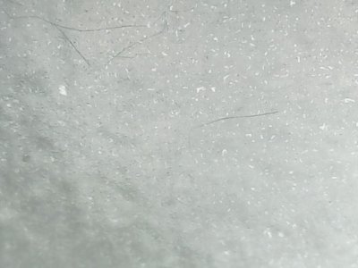 SN33551