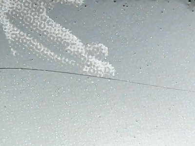 SN33552