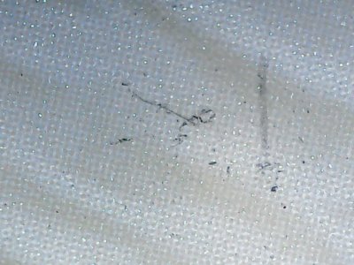 SN33553