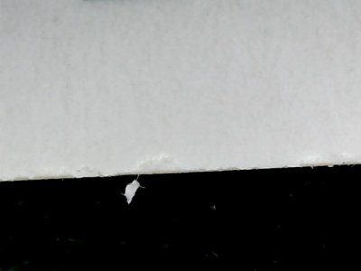 SN33567