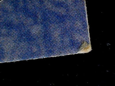 SN33568