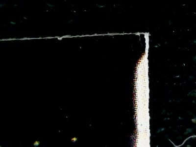 SN33569