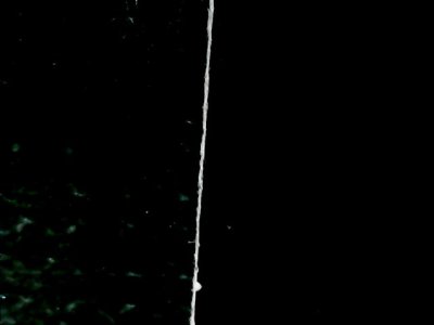 SN33569