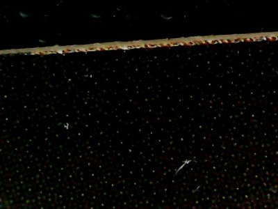 SN33571