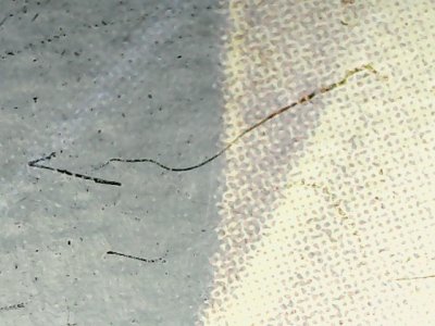 SN33571