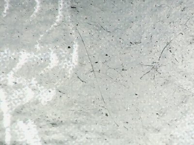 SN33571