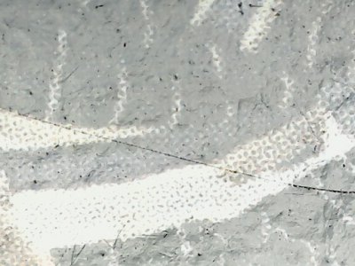 SN33571