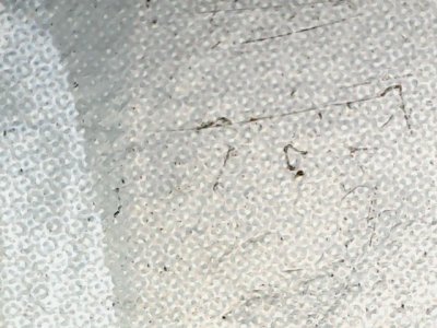 SN33571