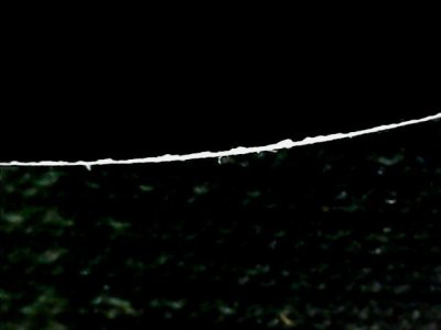 SN33573