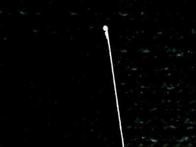 SN33554