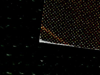 SN33555