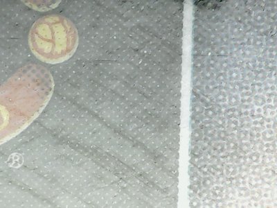 SN33557