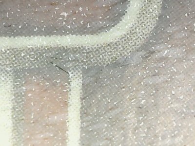 SN33558