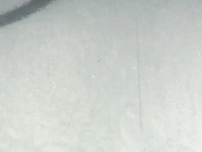 SN33559