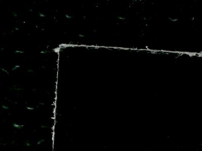 SN33559
