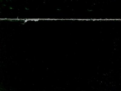 SN33559