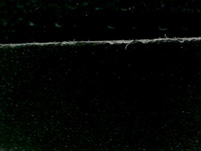 SN33559