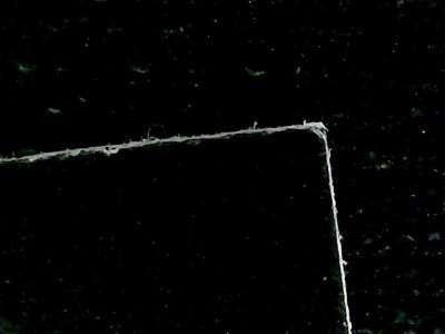 SN33559
