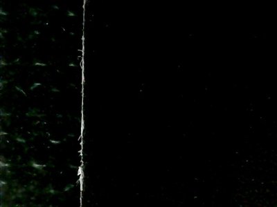 SN33559