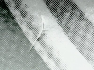 SN33564