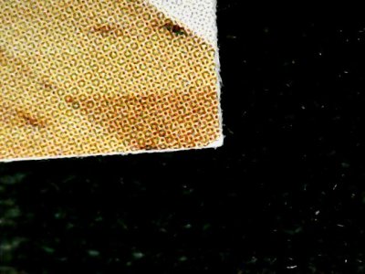 SN33566