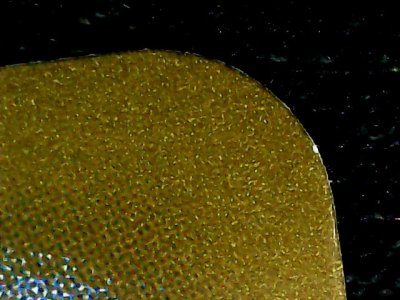 SN33639
