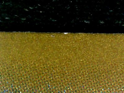 SN33645
