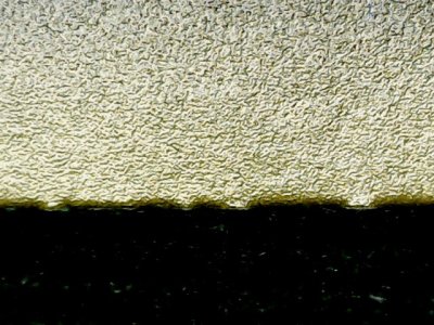SN33646