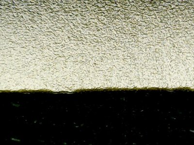 SN33646