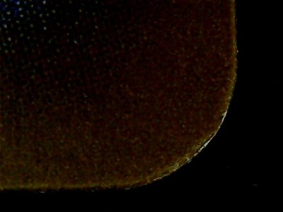 SN33649