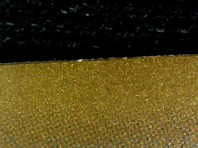 SN33649
