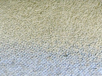 SN33656
