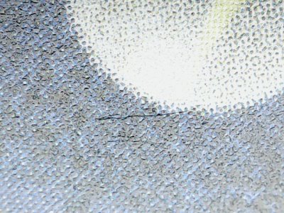 SN33656