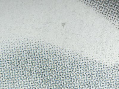 SN33656