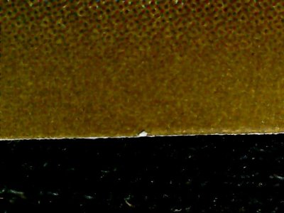 SN33704