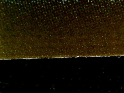 SN33705