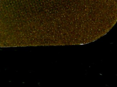 SN33707