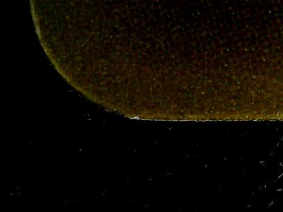 SN33719