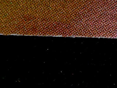 SN33806