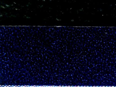 SN33808