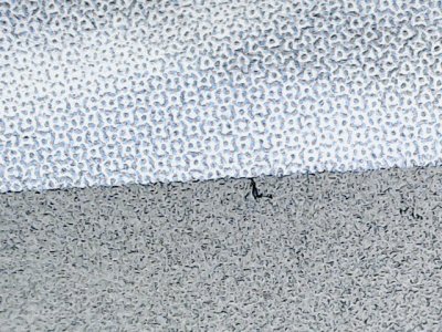 SN33814