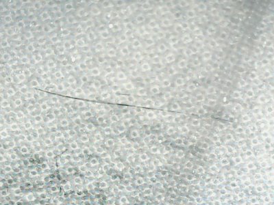 SN33828