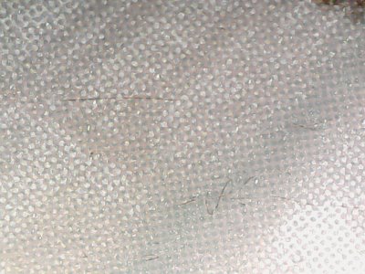 SN33829