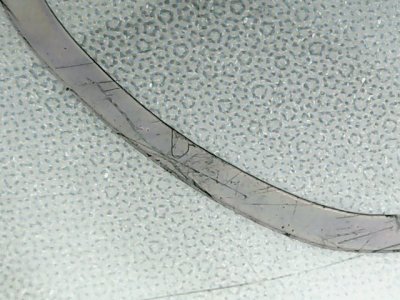 SN33829